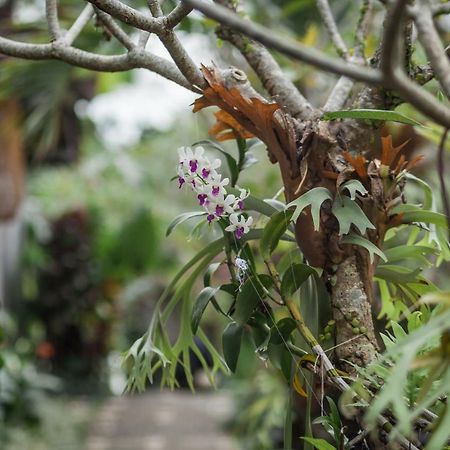 Green Taman Ubud By Prasi Zewnętrze zdjęcie