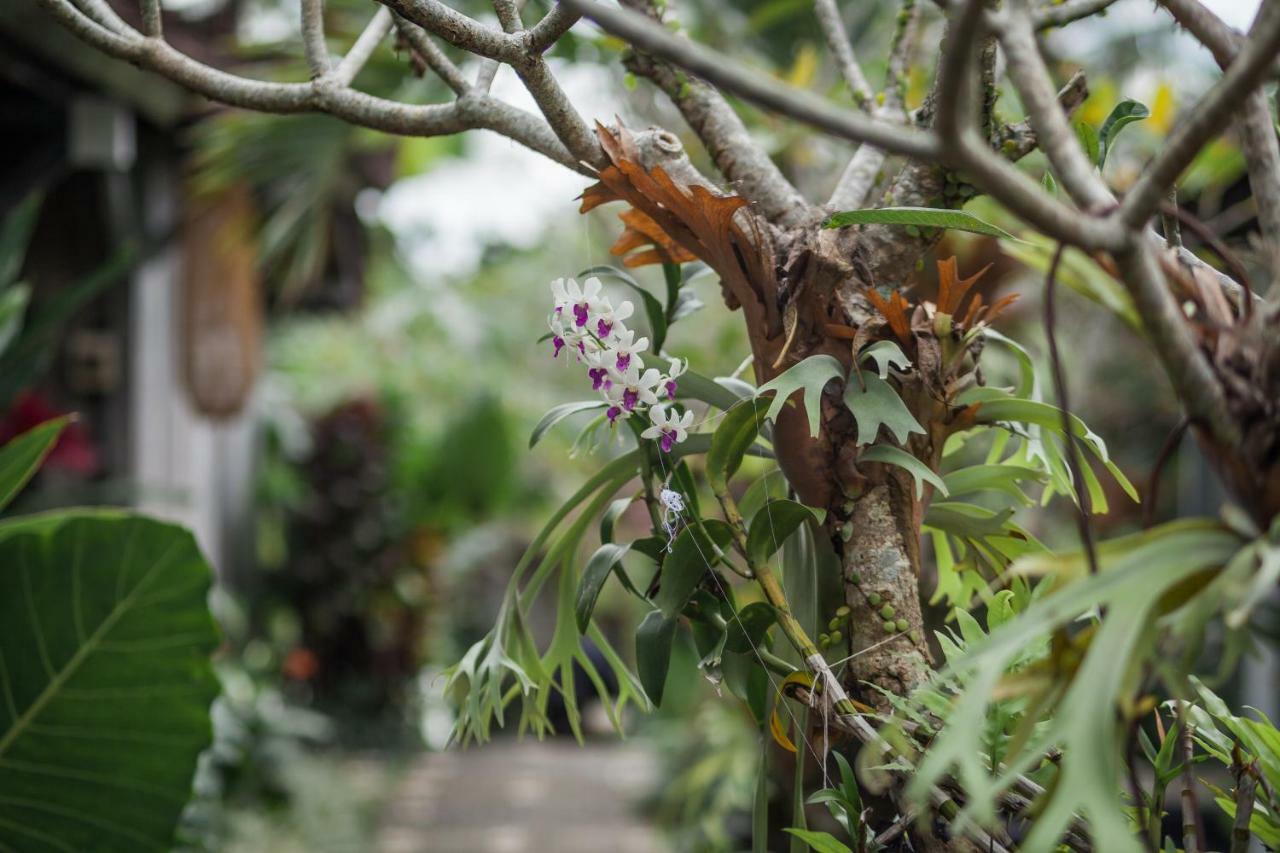 Green Taman Ubud By Prasi Zewnętrze zdjęcie